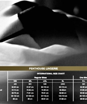 Alternative view of PENTHOUSE - BE MINE TEDDY NEGRO XL