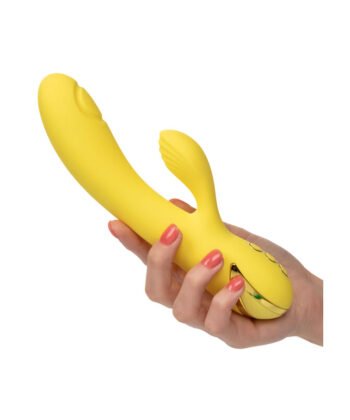 CALEXOTICS - SAN DIEGO SEDUCTION - Imagem 3