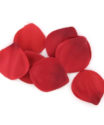 Visão alternativa de EXTASE SENSUAL - PEITO DE TENTAO VERMELHO