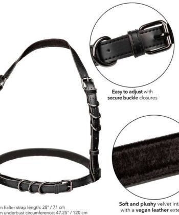 Visão alternativa de CALEXOTICS - EUPHORIA PLUS SIZE HALTER FIVELA ARNÊS PRETO