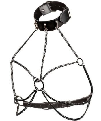 Visão alternativa de CALEXOTICS - EUPHORIA PLUS SIZE MULTI CHAIN COLLAR ARNÊS
