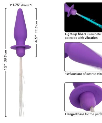 CALEXOTICS - SOUTHERN LIGHTS LIGHT UP ANAL PLUG 10 VIBRAÇÕES SILICONE ROXO