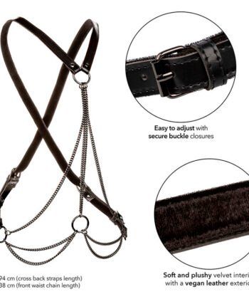 CALEXOTICS - EUPHORIA MULTI CHAIN ARNÊS PREMIUM - Imagem 3