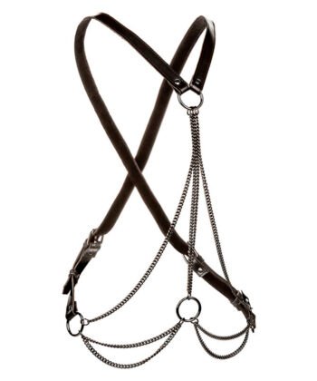 CALEXOTICS - EUPHORIA MULTICANTES HARNESS PREMIUM TAMANHO PLUS