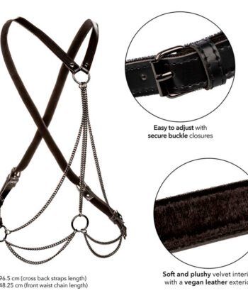 Visão alternativa de CALEXOTICS - EUPHORIA MULTICANTES HARNESS PREMIUM TAMANHO PLUS
