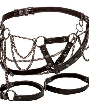 CALEXOTICS - EUPHORIA MULTICAIN THIGH HARNESS PREMIUM TAMANHO PLUS