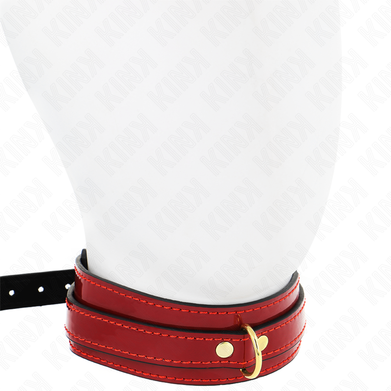 KINK - COLAR AJUSTÁVEL VINHO TINTO COM DETALHES DOURADOS 29-42,5 CM X 4 CM - Imagem 4