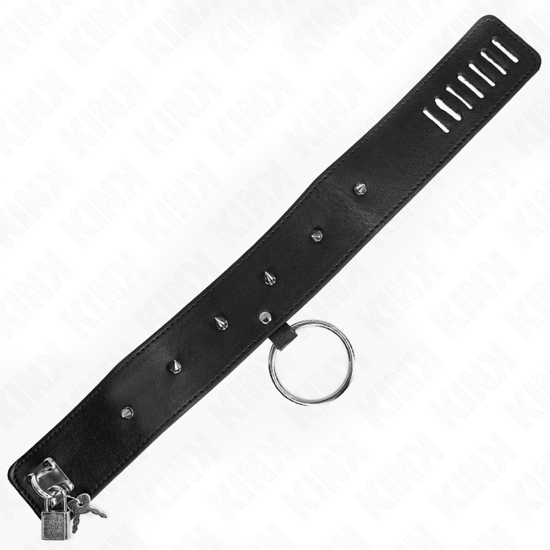 KINK - COLAR 65 CM COM TRELA COM PREGOS PRATA MODELO 2 AJUSTÁVEL 36-43 CM X 5 CM - Image 4