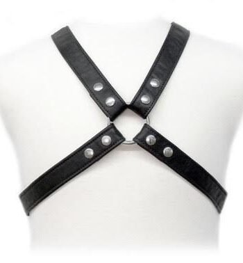 LEATHER BODY - LASIC HARNESS IN GARMENT
