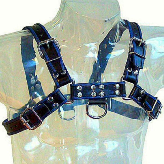 LEATHER BODY - ARNÉS CUERO AZUL Y NEGRO CHEST BULLDOG - Image 2