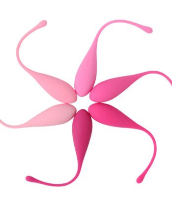 LESLIE - KEGEL FIT PELVIC MUSCLE TRAINING CONJUNTO 6 PCS