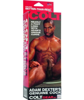 Visão alternativa de CALEXOTICS - PÊNIS REALÍSTICO COLT ADAM DEXTER