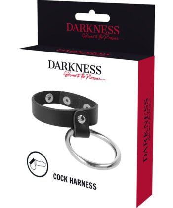 DARKNESS - ANEL DE METAL PARA PÊNIS E TESTÍCULOS - Imagem 5
