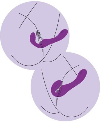 Visão alternativa de XOCOON - VIBRADOR STRAP-ON 2 EM 1 SEM ALÇAS COM CONTROLE REMOTO ROXO