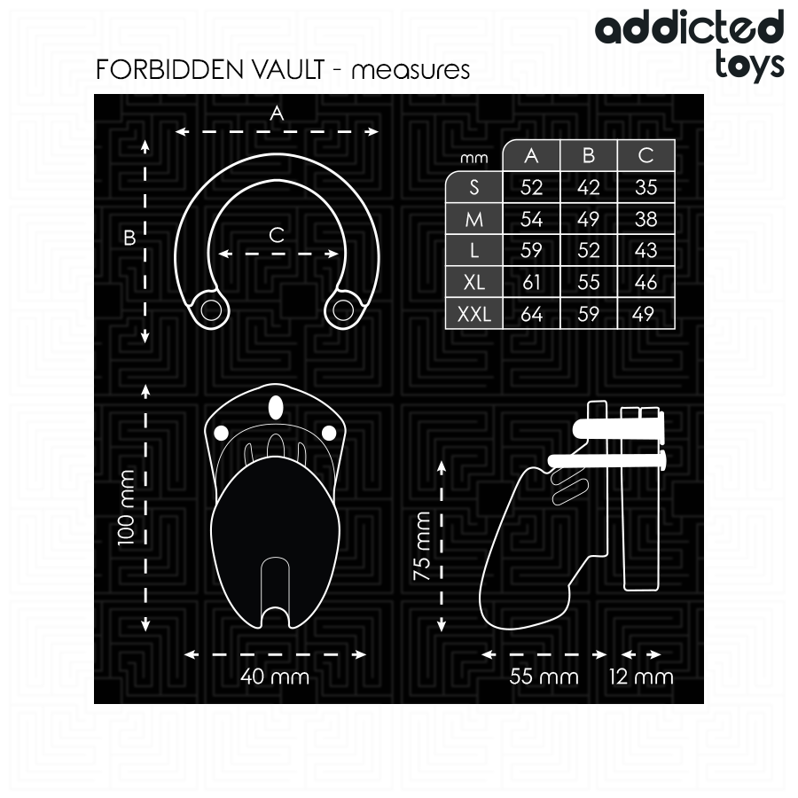 ADDICTED TOYS LOCKED - GAIOLA PARA PÊNIS FORBIDDEN VAULT 10 CM - Image 2