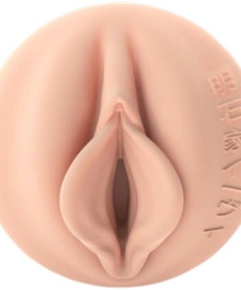 Alternative view of FLESHLIGHT FANTASIA - EVIE AKASHIYA VAGINA