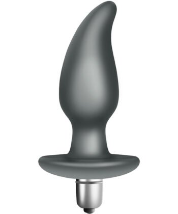 CLIMAXIMUM - PLUG ANAL VIBRATÓRIO IDOSI BULLET